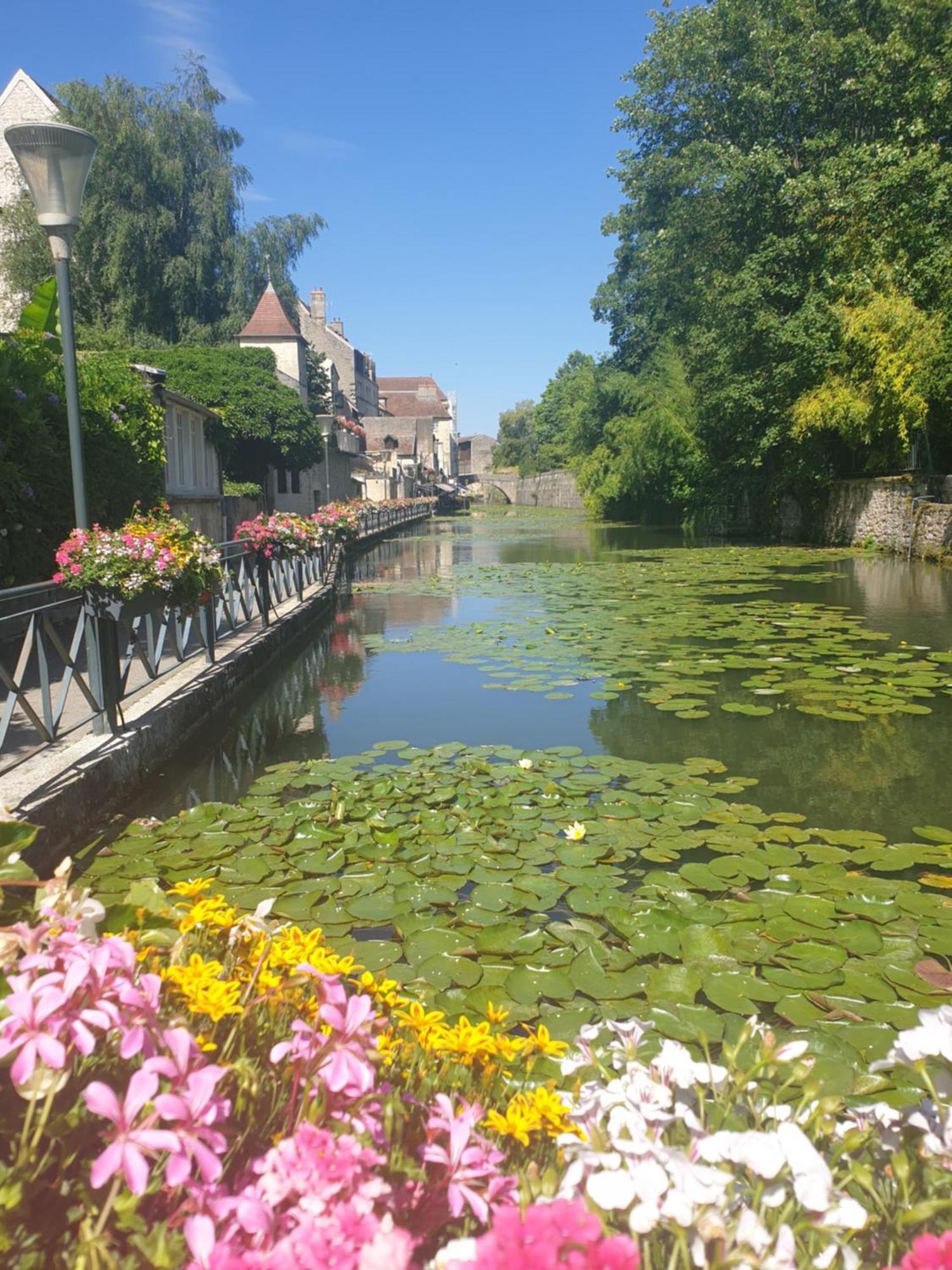 Apartamento Le Matin Calme - Charme Ancien - Vue Canal Dole Exterior foto